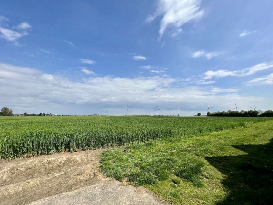 Aussicht Einfamilienhaus Korschenbroich