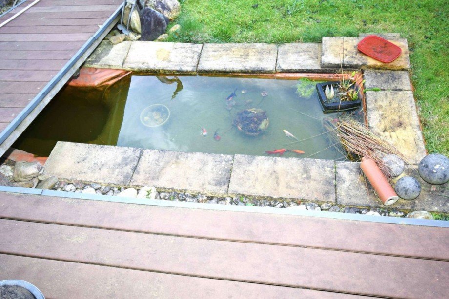 kleiner Teich im Garten Einfamilienhaus J�chen