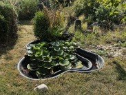 Immobilienmakler Neuss Immobilienmakler Neuss