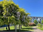 Immobilienmakler Viersen Immobilienmakler Viersen