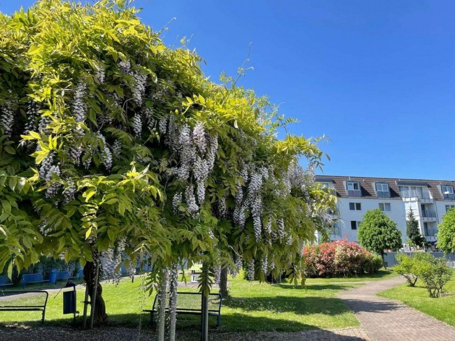 Wohnanlage Etagenwohnung M�nchengladbach