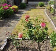 Immobilienmakler Neuss